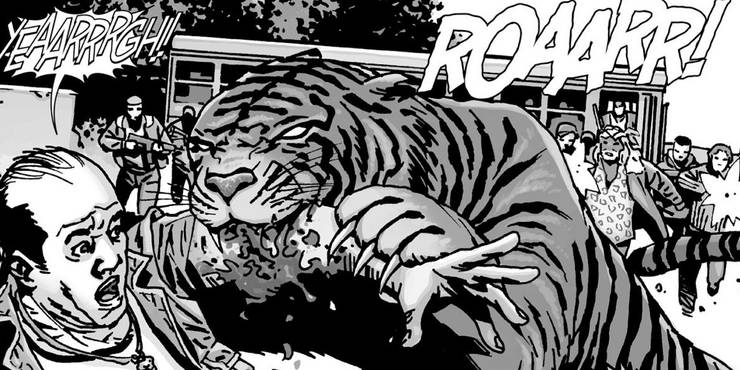 Walking Dead 15 Best Characters From The Comic Ranked Walking Dead 15 Best Characters From The Comic Ranked